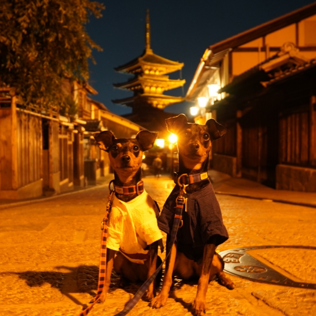 夏の京都を浴衣散歩