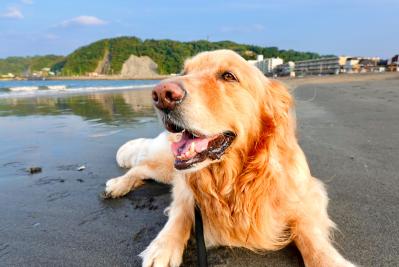 海、だいすき‼️