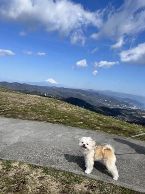 富士山と青空と