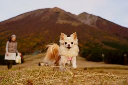 大山をバックに爆走