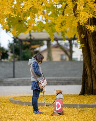 愛犬と一緒に楽しむ紅葉