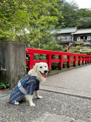 四万温泉