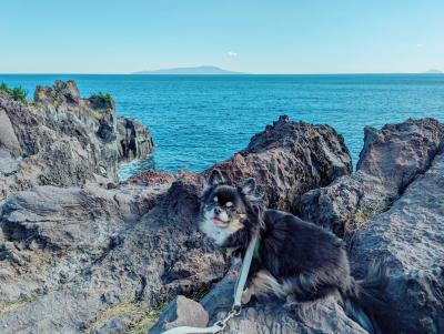 海の眺めサイコー！