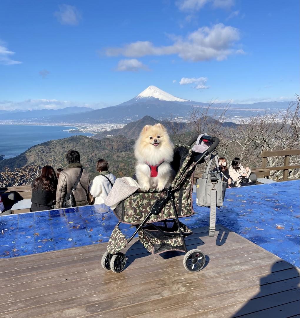 富士山と僕