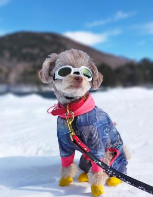 空の青と雪の白とぼくのゴーグル