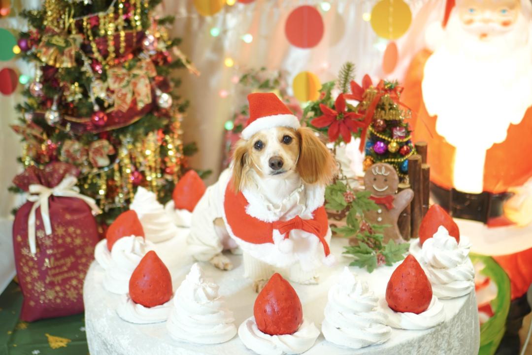 クリスマスケーキ