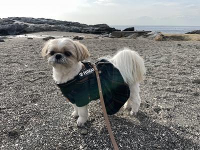 城ヶ島 初上陸