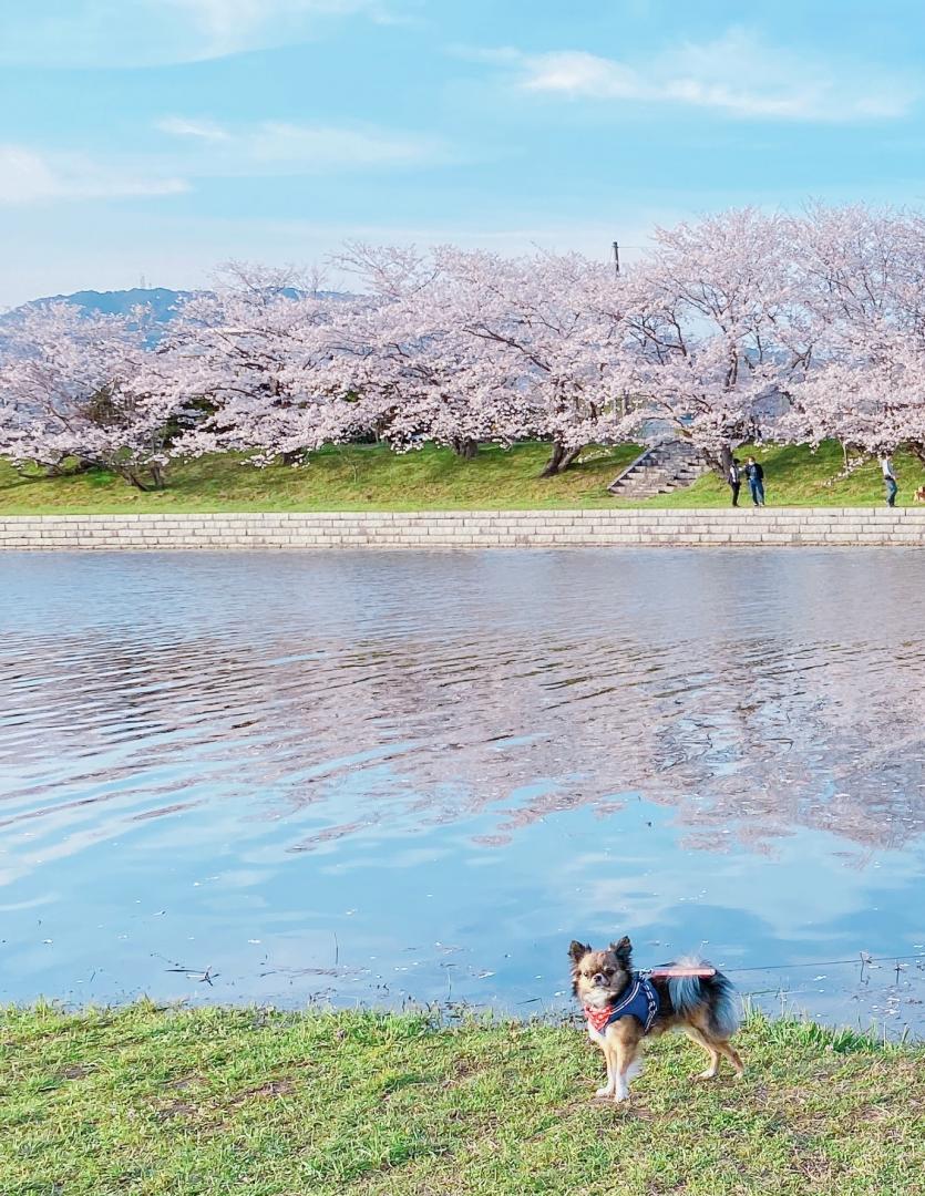 僕のお気に入りの場所