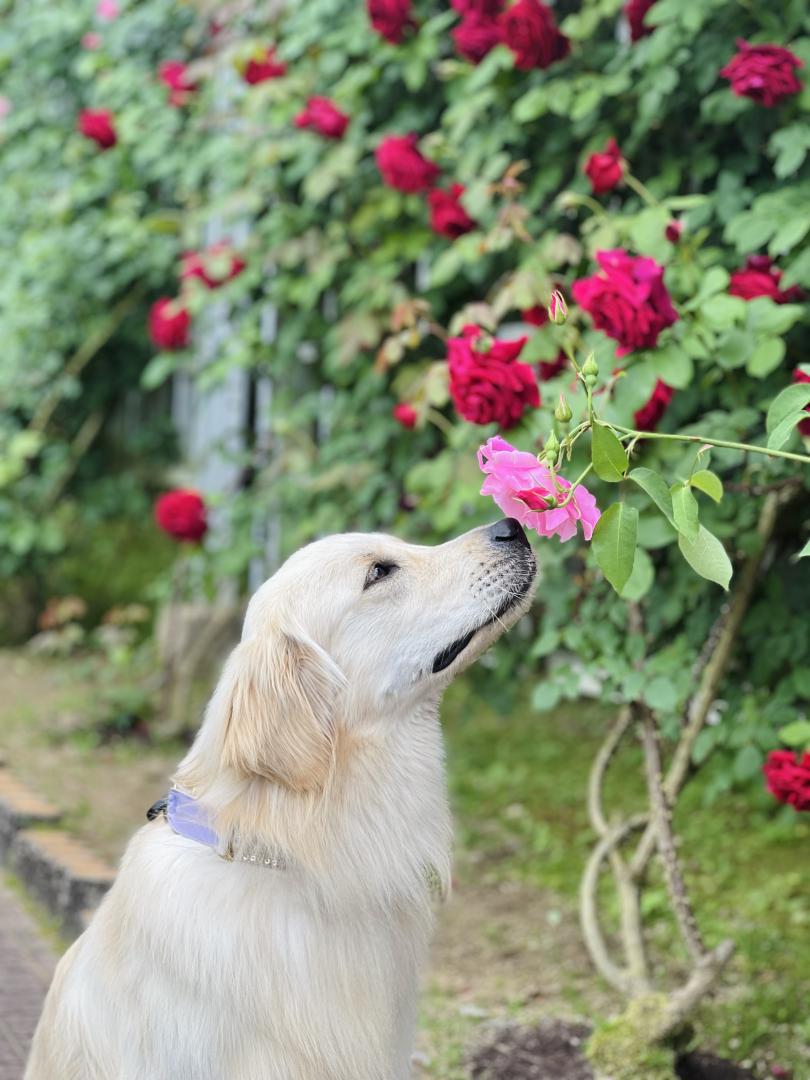 良い香り…♡