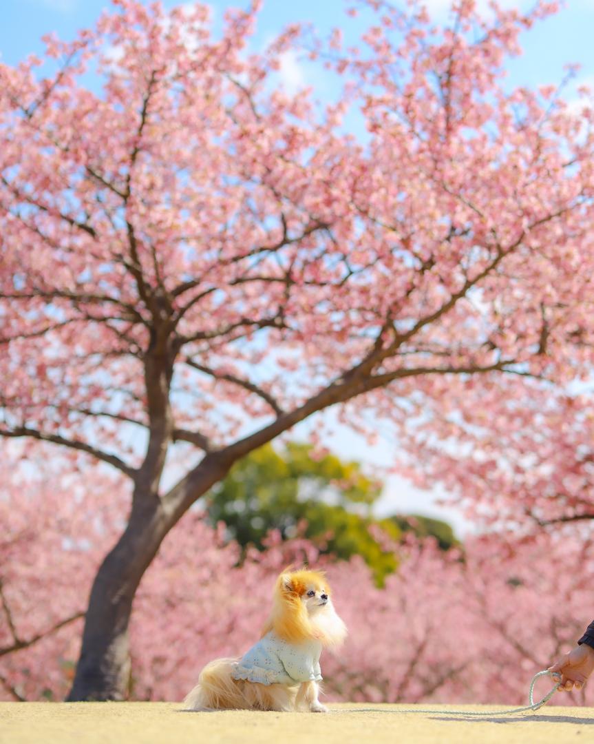 見つめる先は