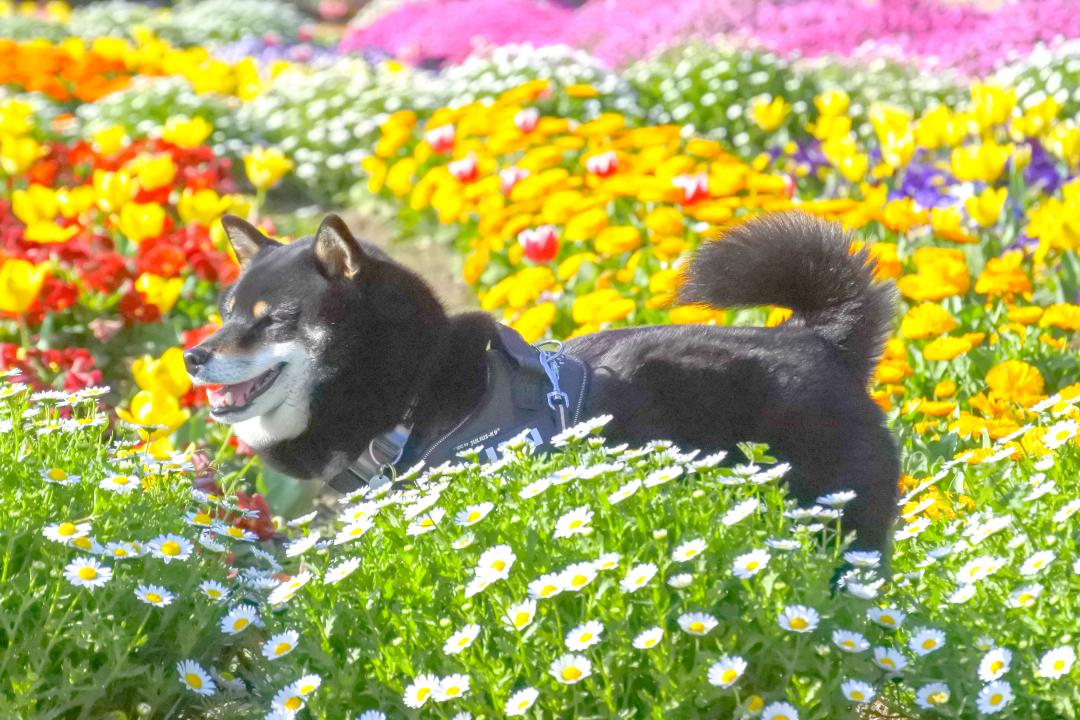 colorful！