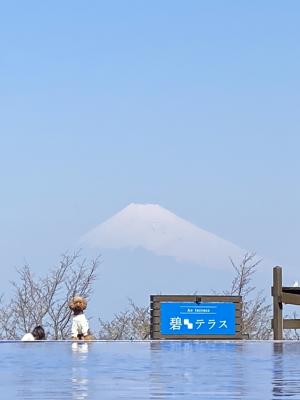 碧テラス