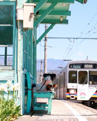 電車きたよ