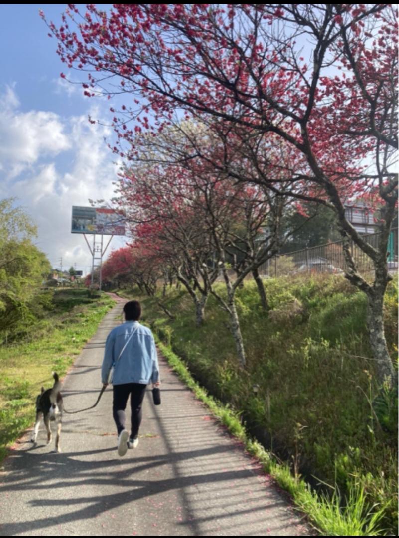 あなたを想って
