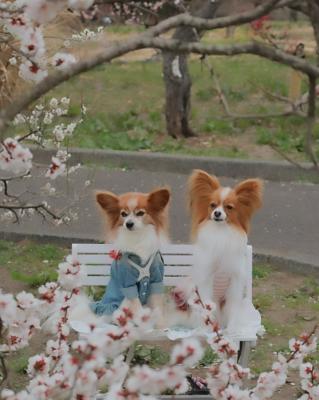 久々の再会