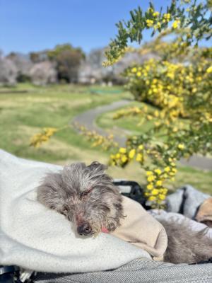 果報は寝ねて待まて