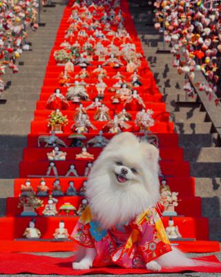 ひな祭り