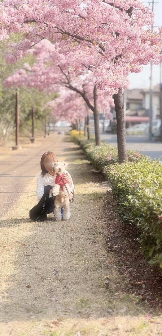 前にならえ
