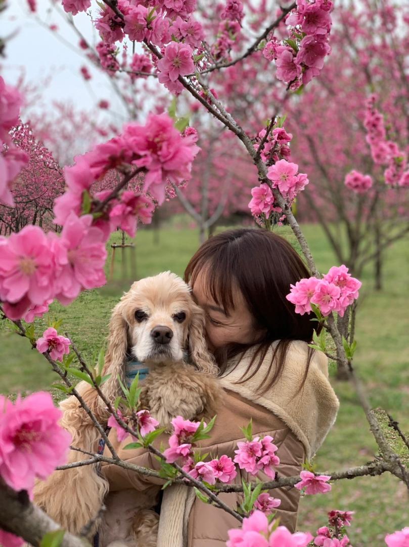 花桃と一緒に