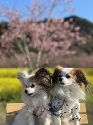 春を感じる2人