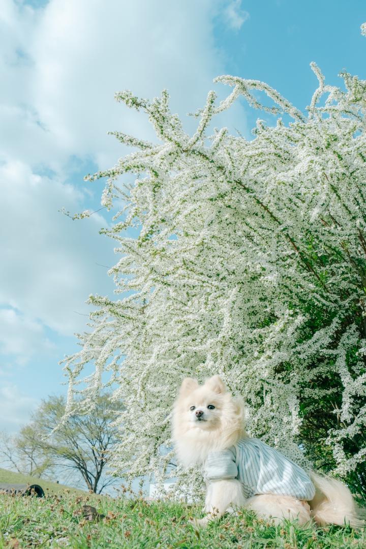 空を見上げて