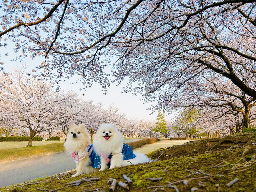 今年も会えたね