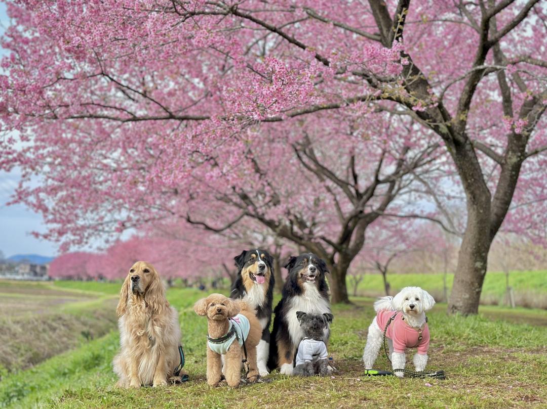 何だか家族みたい