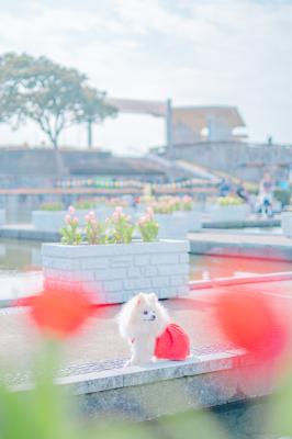 みんな空の下