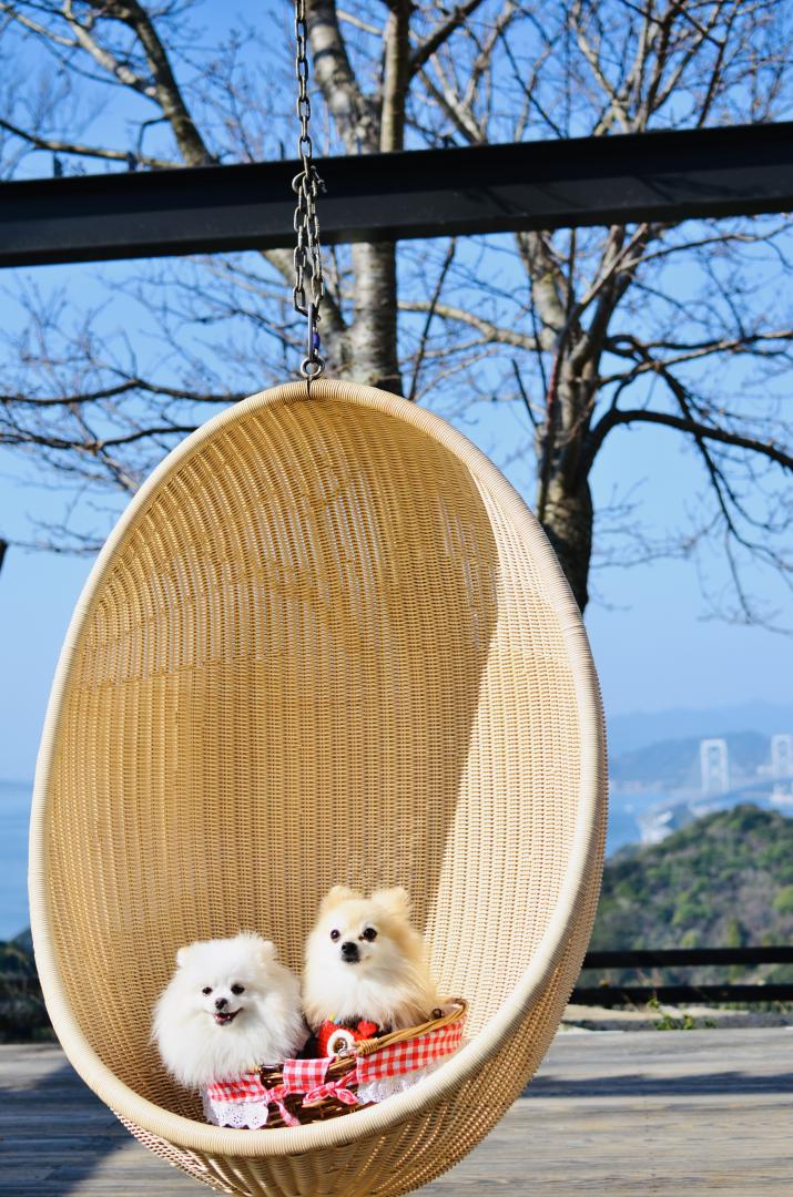 明石大橋とルナコト