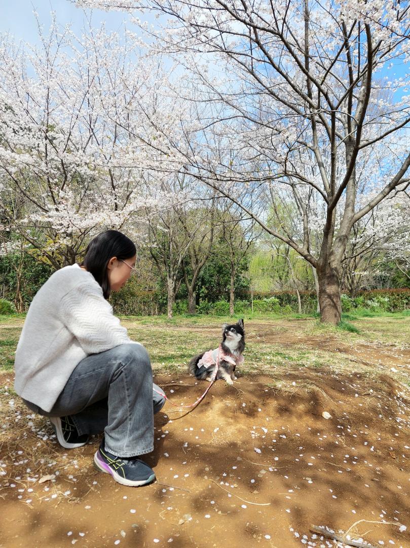 ゆっくりお散歩できる時間が愛しい