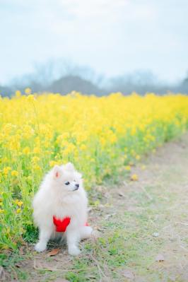 ひとやすみ