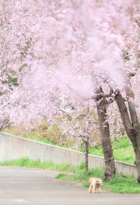 今年も一緒に来れたね