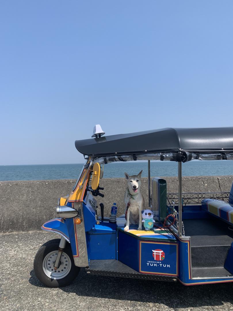 春の海沿いをトゥクトゥクで
