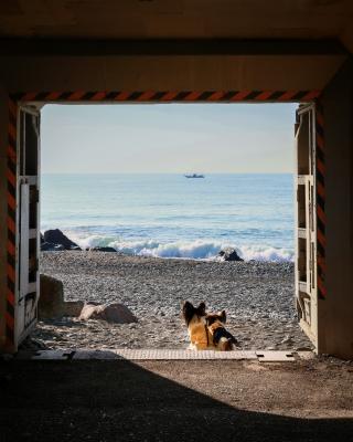 海への扉