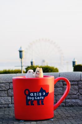 大好きだよ❤️