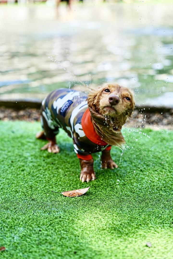 水しぶき