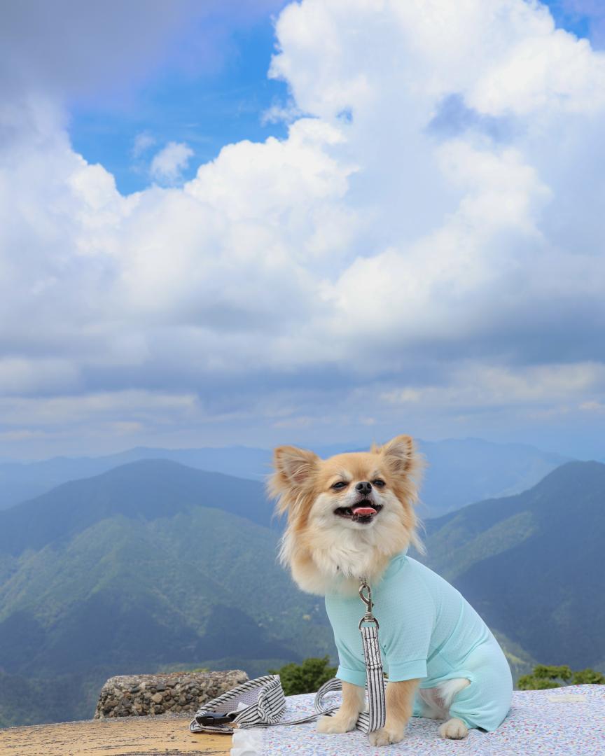 雲の近くへ