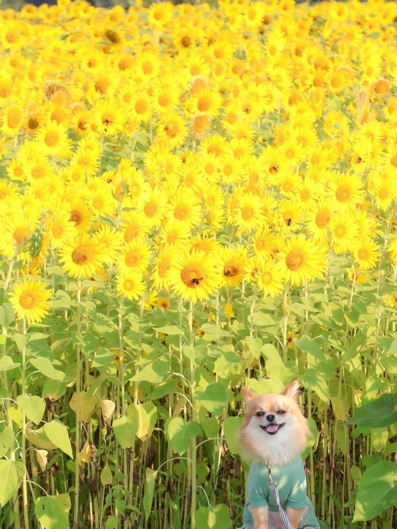 背は低いけど笑顔は負けないよ