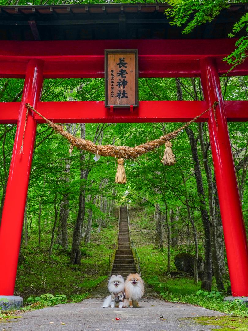 長老神社とイチとコッペ