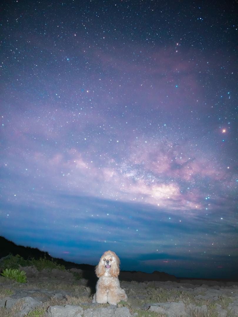 夏の天の川