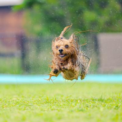 夏を満喫