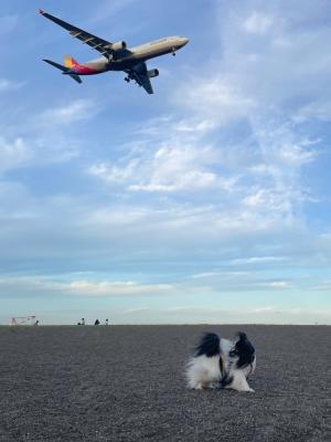 夏の海と飛行機