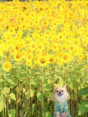 背は低いけど笑顔は負けないよ