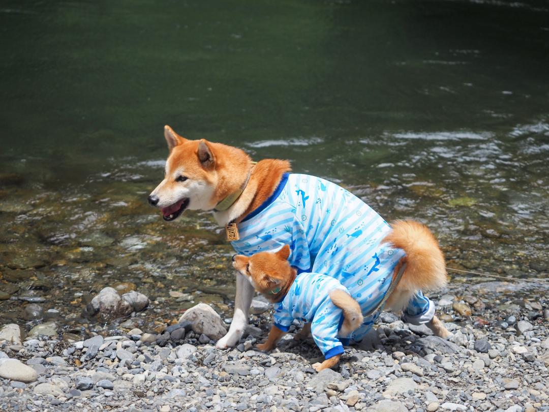 さぁ、夏だ！