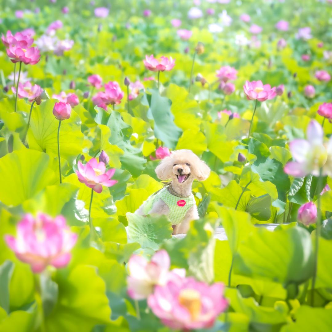 嬉しくて思わず笑顔が溢れたよ
