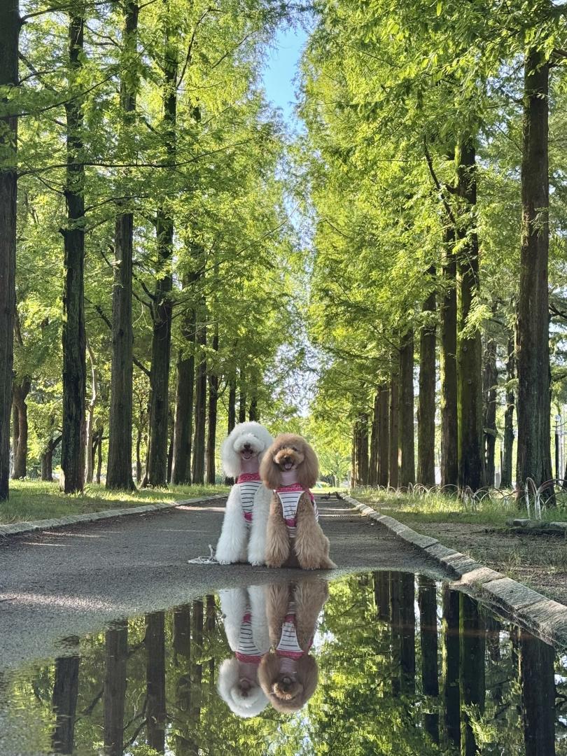 雨の合間に‥