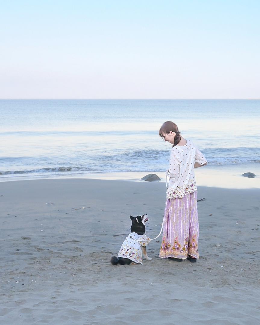 夕方の海