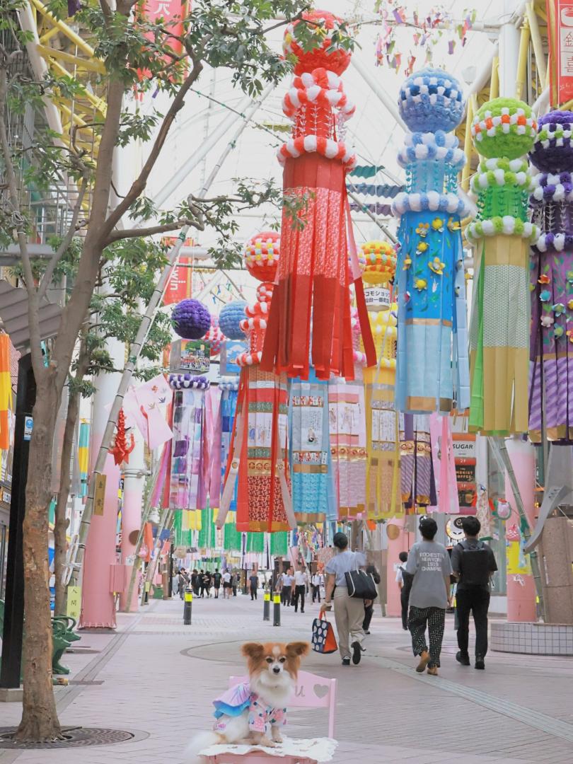 仙台七夕