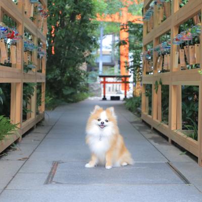 朝の静寂