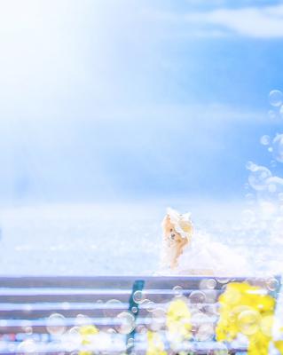 青い空と海